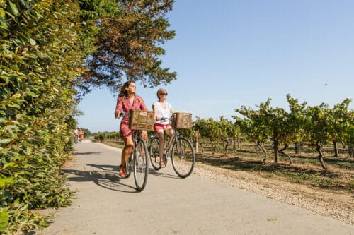 twee fietsers in de wijngaarden van Ile de Re.