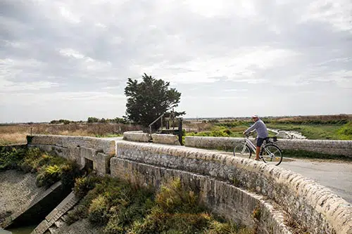 Een fietser fietst door het natuurgebied op île de Ré.