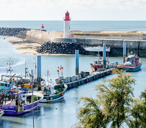 De haven van La Cotinière vanaf boven gezien.