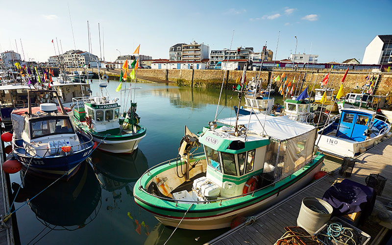 Schilderachtige scheepjes in de haven van Saint-Gilles-Croix-de-Vie. Hier, in het visserijmuseum en elders in de Vendée valt veel te ontdekken en te beleven. © A. Lamoureux