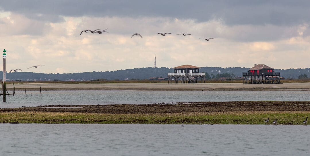 Een zeilboot in de baai van Arcachon in Frankrijk.