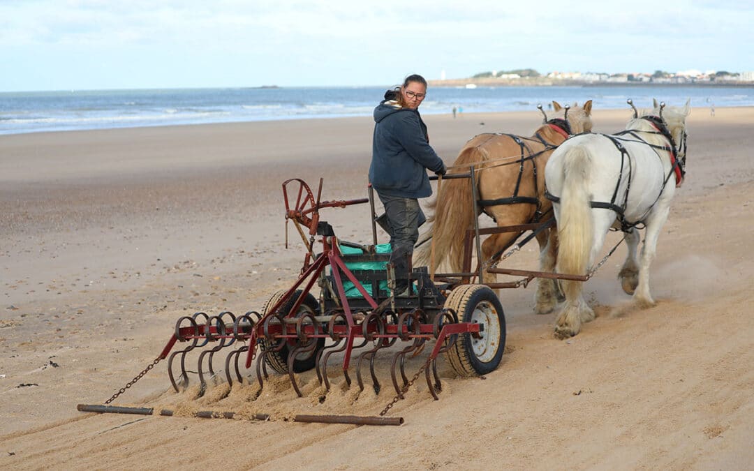 Een man op een paardenwagen maakt het strand schoon aan de Atlantische Kust in Frankrijk.