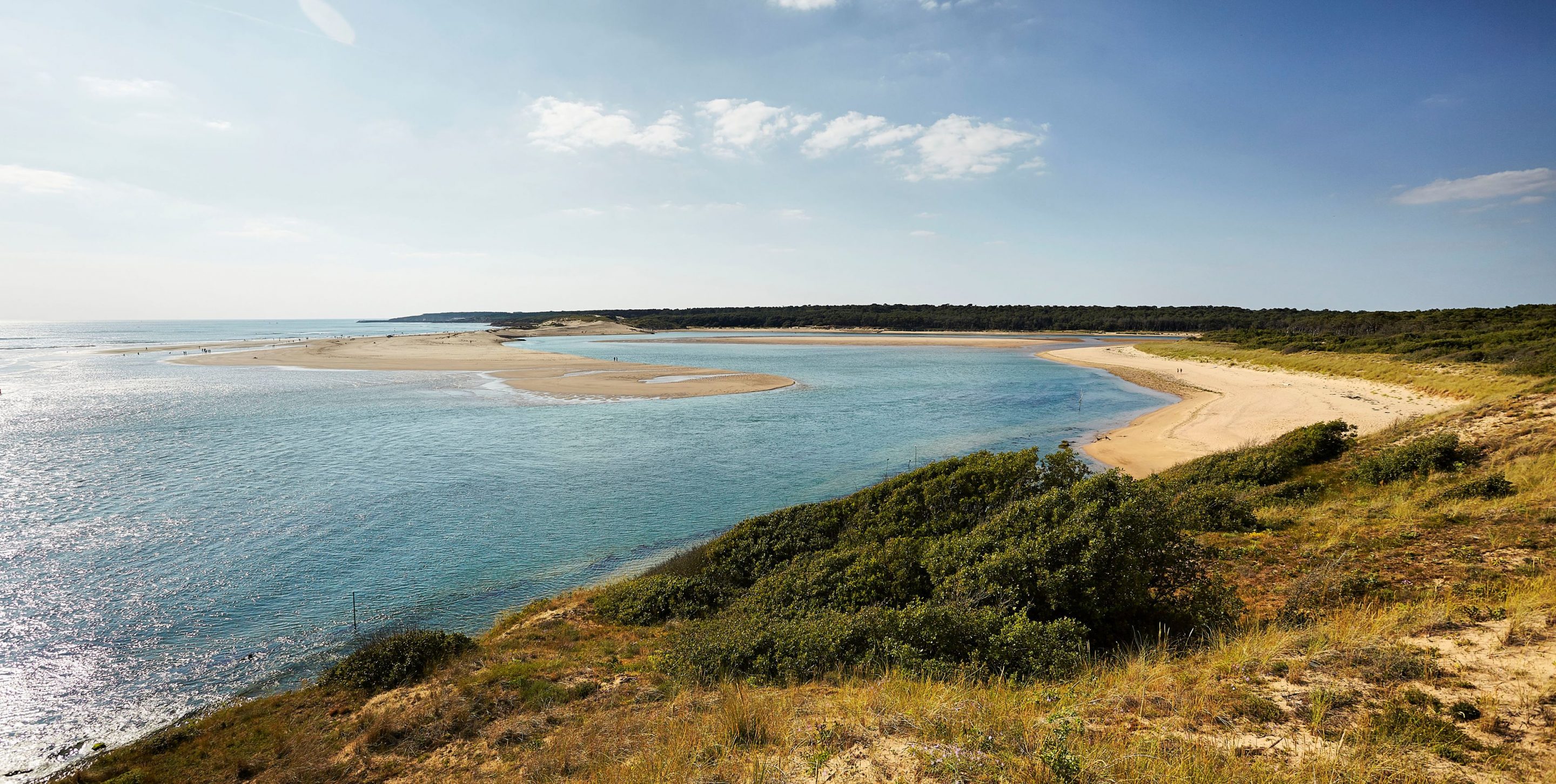 Estuaire du Payré 